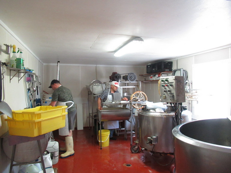 Kaasmakers maken kaas in Sussex